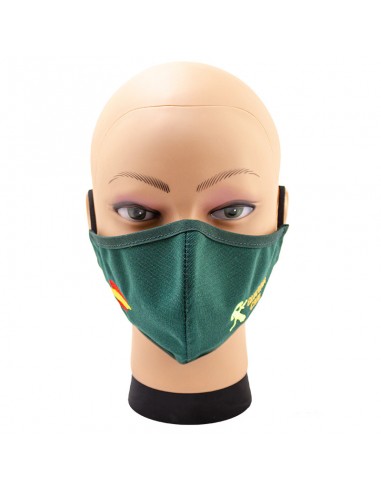 MASCARILLA PICOPATO GCT VERDE